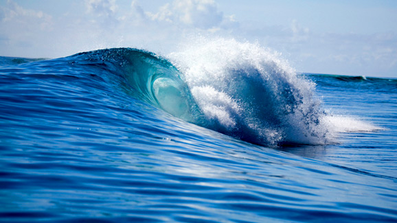Wave Photograph