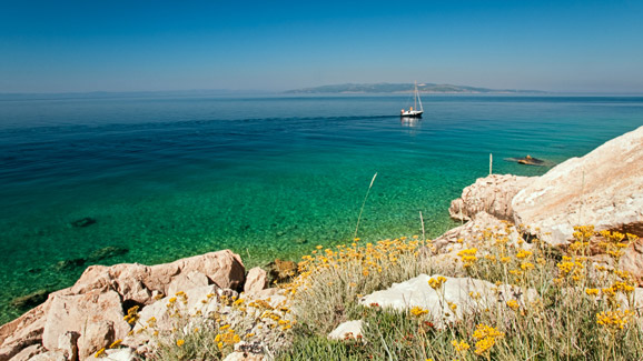Dalmation Coast
