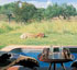 Sabi Sabi