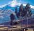 Inkaterra Experiences, Reserva Amazonica La Casona and Machu Picchu