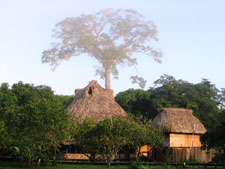 CottonTree Lodge
