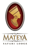 Mateya Safari Lodge