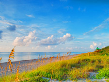 Escape to Sunshine Along the U.S. Coast