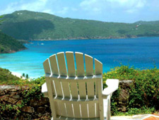 Guana Island