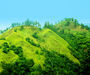 Jamaican Hills