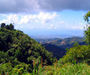 Jamaican Landscape