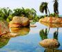 Palms