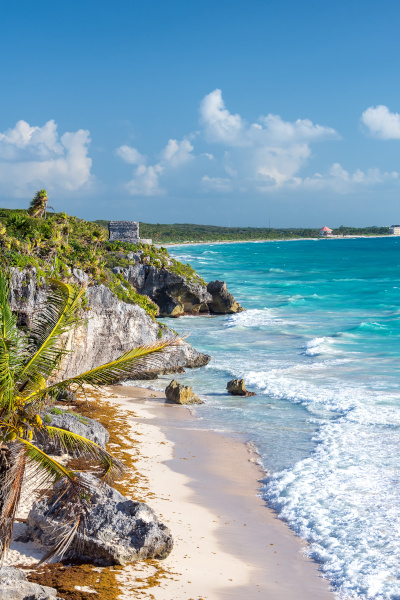 Ruins of Tulum, Mexico and a palm tree overlooking the Caribbean Sea in the Riviera Maya