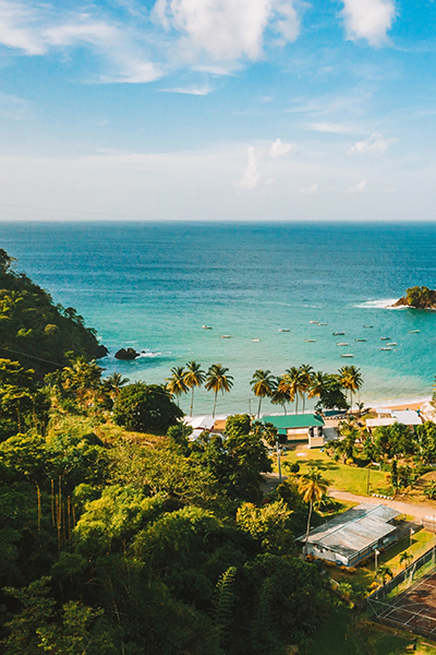 Beautiful tropical Barbados island. View of the golden beach with palms and crystal clear water.