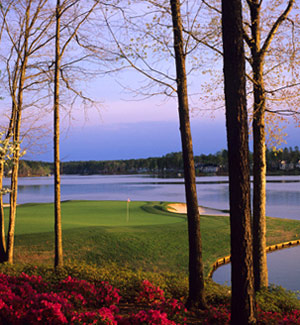 Horizon & Co, Foreluxury Golf