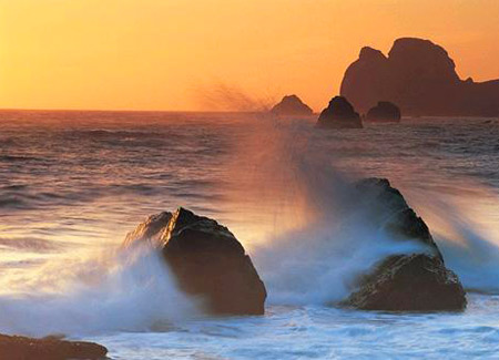 Stevenswood Spa Resort