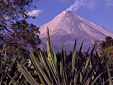 Hacienda de San Antonio