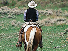 Mountain Meadows Guest Ranch