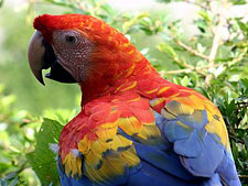 Kapawi Ecolodge & Reserve