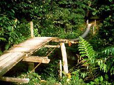 Kapawi Ecolodge & Reserve