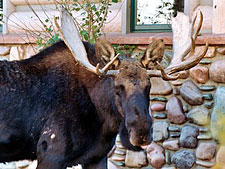 Big EZ Lodge, The