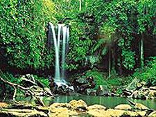 Aircruising Australia/Bill Peach Journeys, Cape York Expedition