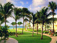 Our Lucaya Beach & Golf Resort