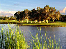 Our Lucaya Beach & Golf Resort