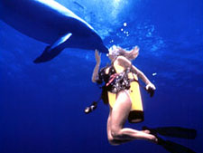 Our Lucaya Beach & Golf Resort