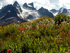 Canadian Mountain Holidays