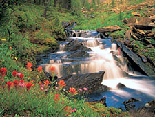 Canadian Mountain Holidays