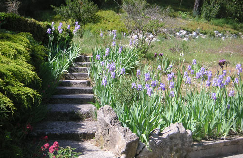 Domaine de Valmouriane