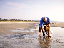 The Cottages at Sea Island