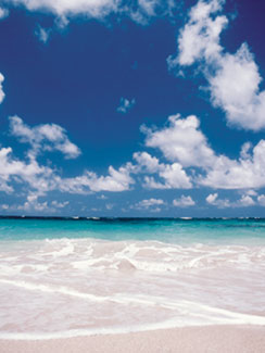 Cotton Bay Village