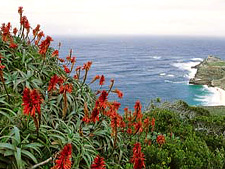 Jewels of the Indian Ocean<br>TCS Expeditions
