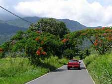 Hacienda Loma del Sol
