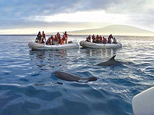 Ecuador: Quito to the Galapagos Islands<br>Ocean Adventures