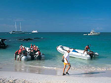 Ecuador: Quito to the Galapagos Islands<br>Ocean Adventures