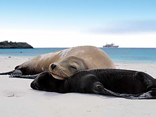 Ecuador: Quito to the Galapagos Islands<br>Ocean Adventures