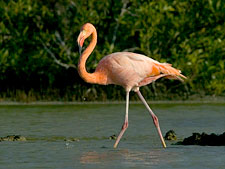 Ecuador: Quito to the Galapagos Islands<br>Ocean Adventures