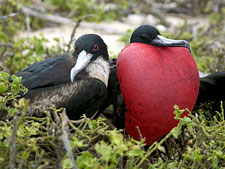 Ecuador: Quito to the Galapagos Islands<br>Ocean Adventures