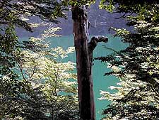 Argentina<Br>Blue Parallel