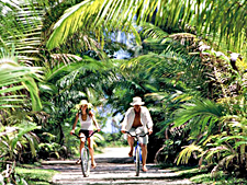 Manihi Pearl Beach Resort