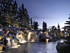 California WellBeing Institute