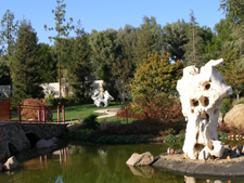 California WellBeing Institute