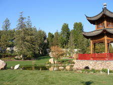 California WellBeing Institute