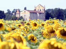 Bordeaux<BR>DuVine Adventures