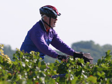 Bordeaux<BR>DuVine Adventures