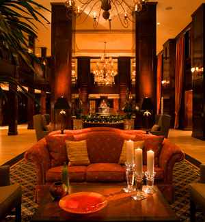 Pet Friendly Hotels In South Daytona Beach Pet Friendly Hotels In South Daytona Beach