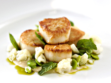 Rome to Venice <br> Windstar Cruises