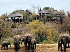 Ker & Downey - South Africa