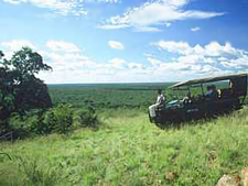 Ker & Downey - South Africa