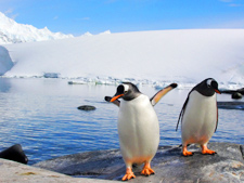 Hurtigruten - Argentina & Antarctica<br/>MS Fram