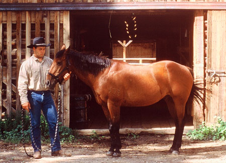 TA Guest Ranch - ON HOLD