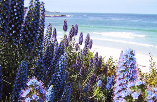 Manifesta Safaris for Women, Artista Creative Safaris